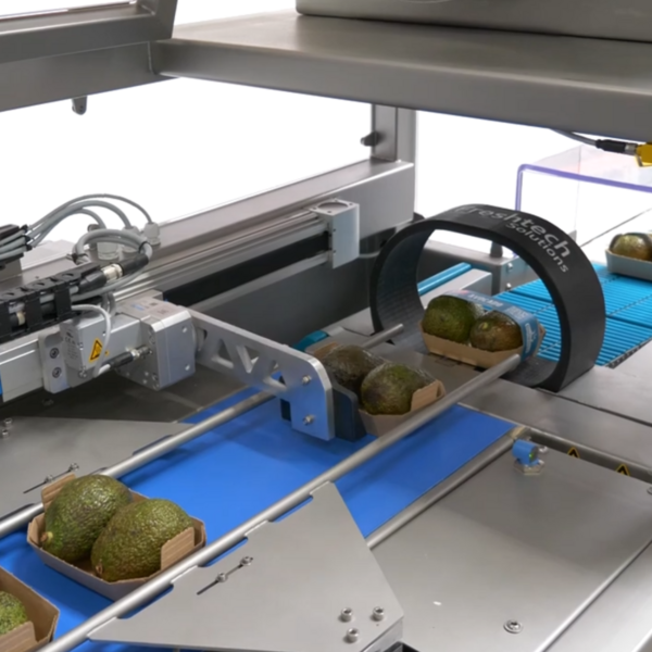 Efficiente en effectieve verpakking van avocado's met de enkelvoudige banderolmachine - vierkante afbeelding