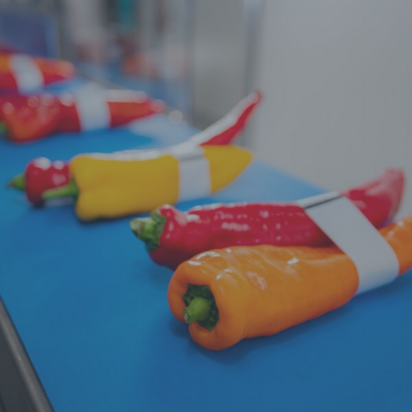 No more waste of product or packaging material with the weighing and banding machine - menu item