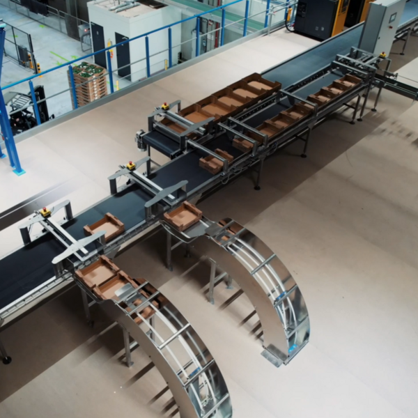 Fully automated box feeding system developed by Freshtech Solutions - square image