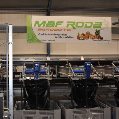 De sorteerlijn bij Van Putten Agro met MAF RODA machines is ontworpen en uitgevoerd door Freshtech Solutions - vierkante afbeelding