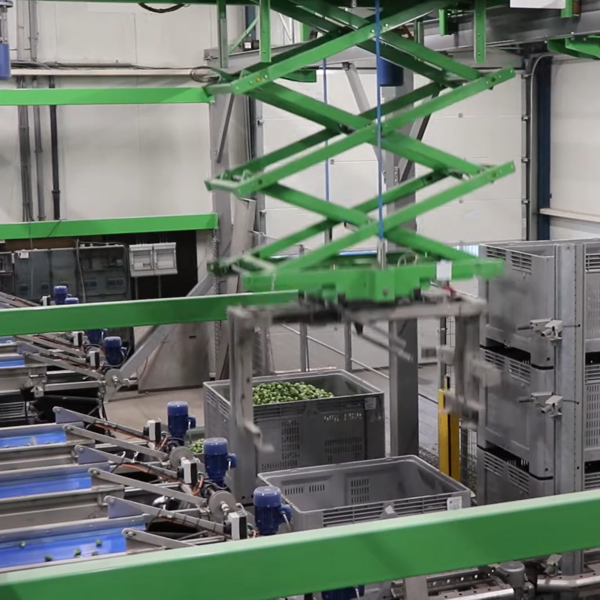 Voor complete automatisering is de spruitkoolsorteerlijn van Van Putten Agro uitgebreid met kistenrobot - vierkante afbeelding
